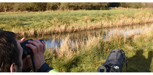 Bird surveying near Aldhurst Farm