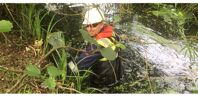 Water vole survey in the SSSI