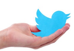 Hand holding out Twitter logo/blue bird