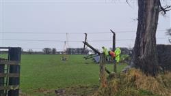 Engineers working on a fallen power line