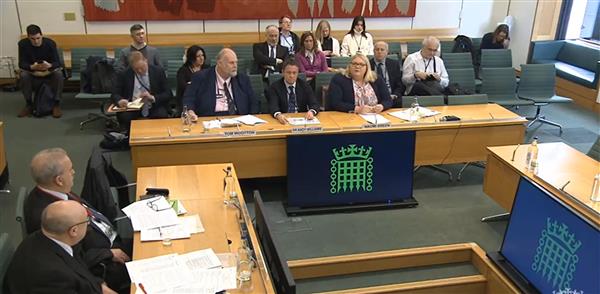 Naomi Green at transport committee