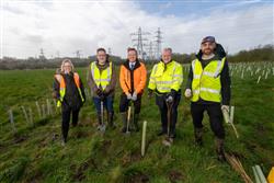tree planting in Carlisle